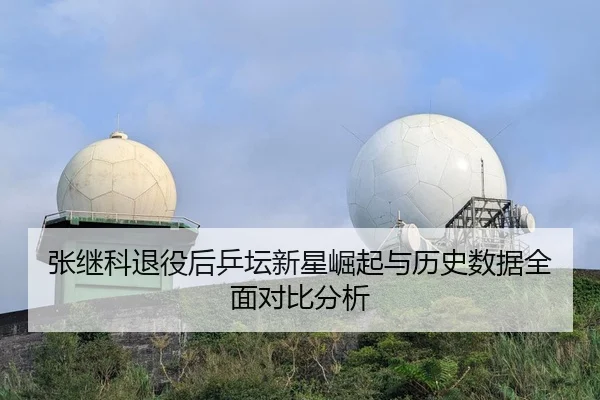 张继科退役后乒坛新星崛起与历史数据全面对比分析